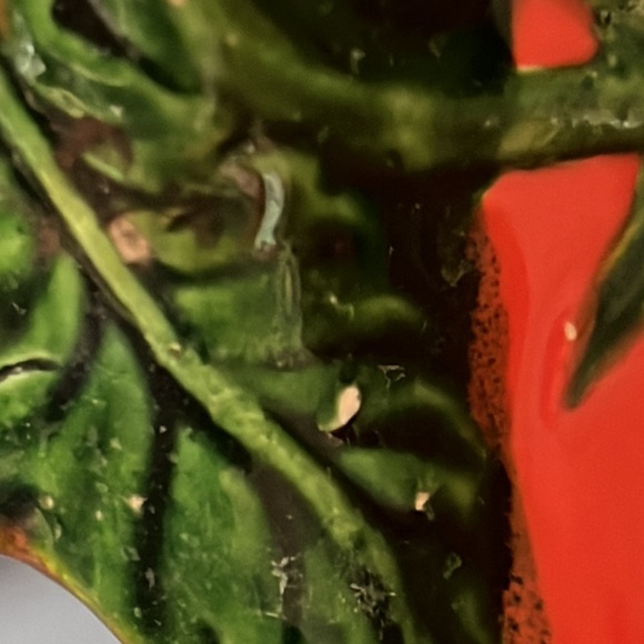 Vintage Maruhon "Tomato" 3-part Condiment Dish with center handle Japan 1950s - Picture 11 of 11